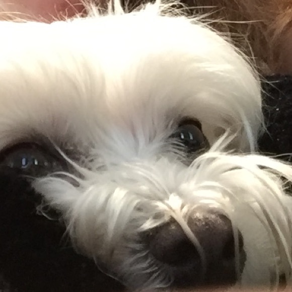 Meet your Posher, Rome - Picture 1 of 1